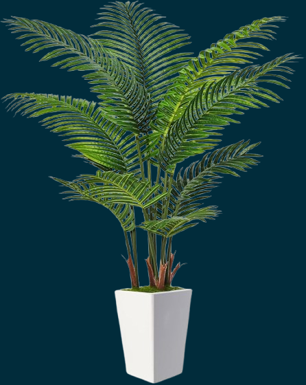 Plantas