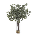 PLANTA EUCALIPTO