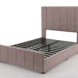 CAMA AMINA