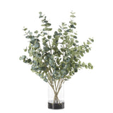 PLANTA DOLAR