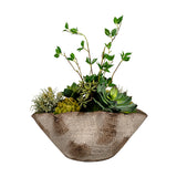 PLANTA SUCU