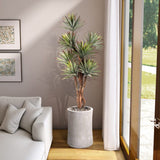 PLANTA SELVA