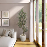 PLANTA GAIA