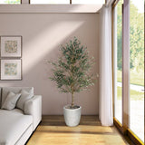 PLANTA NARA