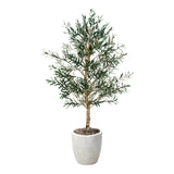 PLANTA NARA