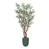 PLANTA ALMA