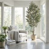 PLANTA LUMA