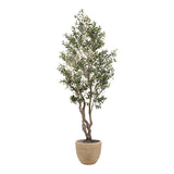 PLANTA LUMA
