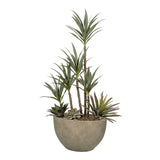 PLANTA YUCA