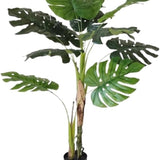 PLANTA CAL