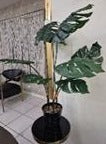 DECOR-PLANT88281
