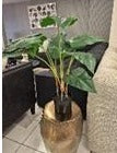 DECOR-PLANT88282