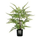 PLANTA-HELECHOFLORAL