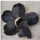DECOR-ORQUI-NEGRA