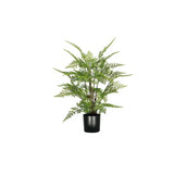 MUE-PLA-003