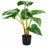 PLANTA BOND