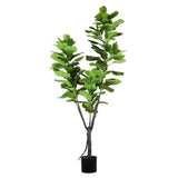 MUE-PLA-005